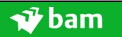 Royal BAM Group